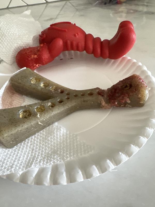 Not for bull terriers