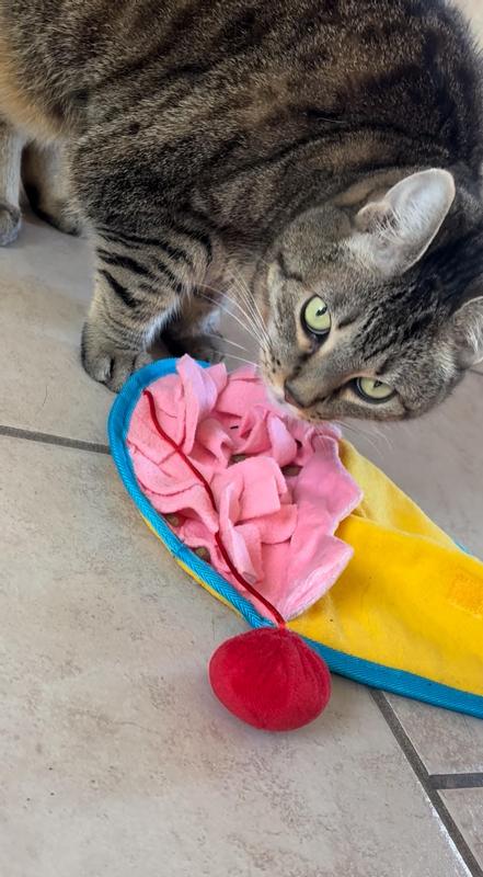 Moon using her snuffle mat