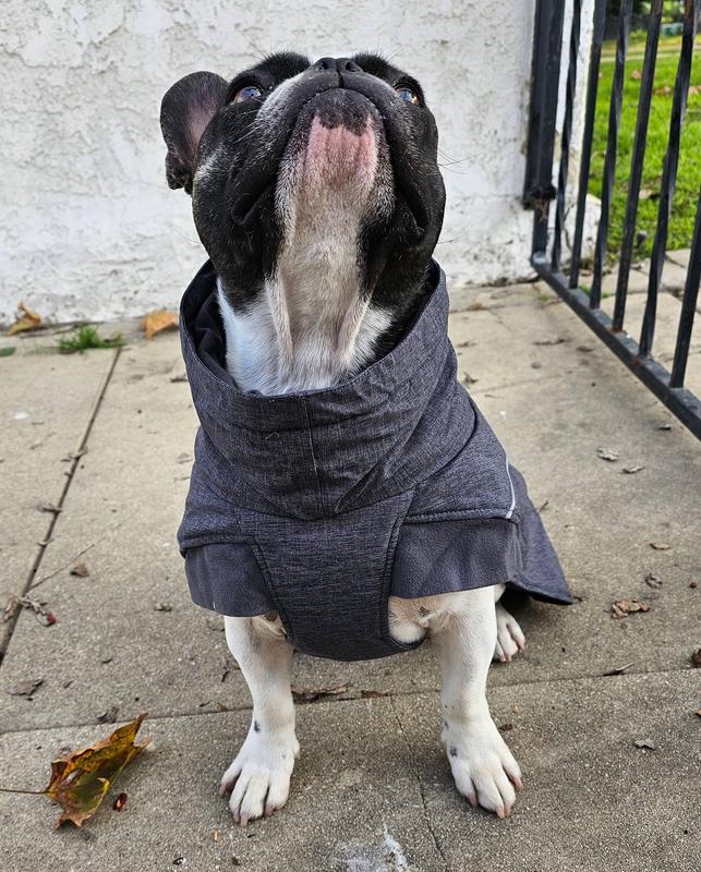 HURTTA Expedition Insulated Dog Parka, Beetroot, 28in