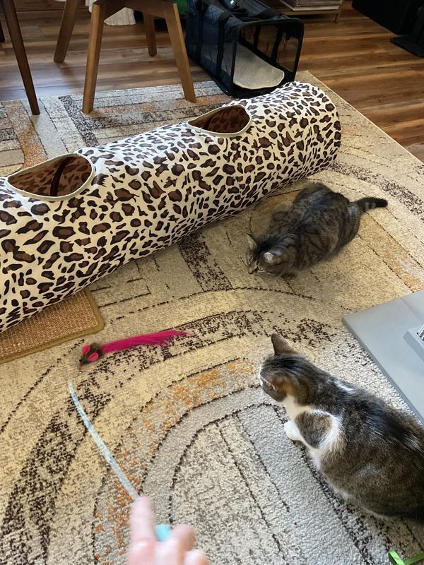 Fantastic Quality – My Cats Love These!