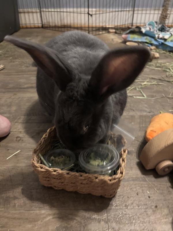 Charlotte Vivian and her treat basket