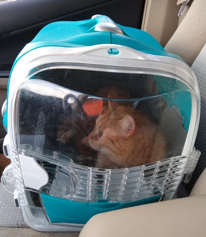 Catit cabrio clearance cat carrier reviews