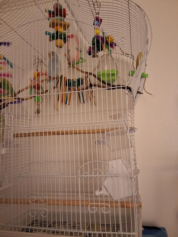 No heart design at top like in picture presentation.