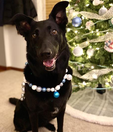 My happy girl!