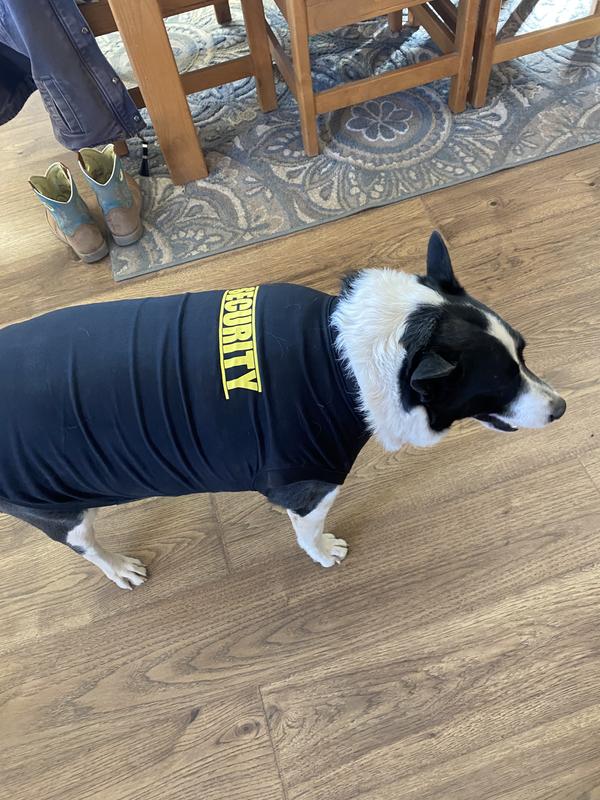 Frisco K-9 Police Dog & Cat T-Shirt