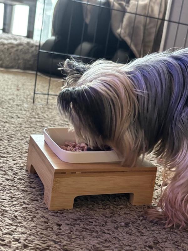 Senior approved too!