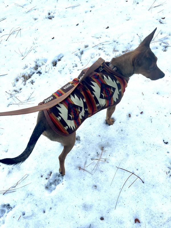 Great coat, bad photo