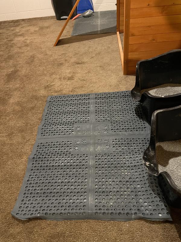 Cat Litter Mat - Purrfectiion