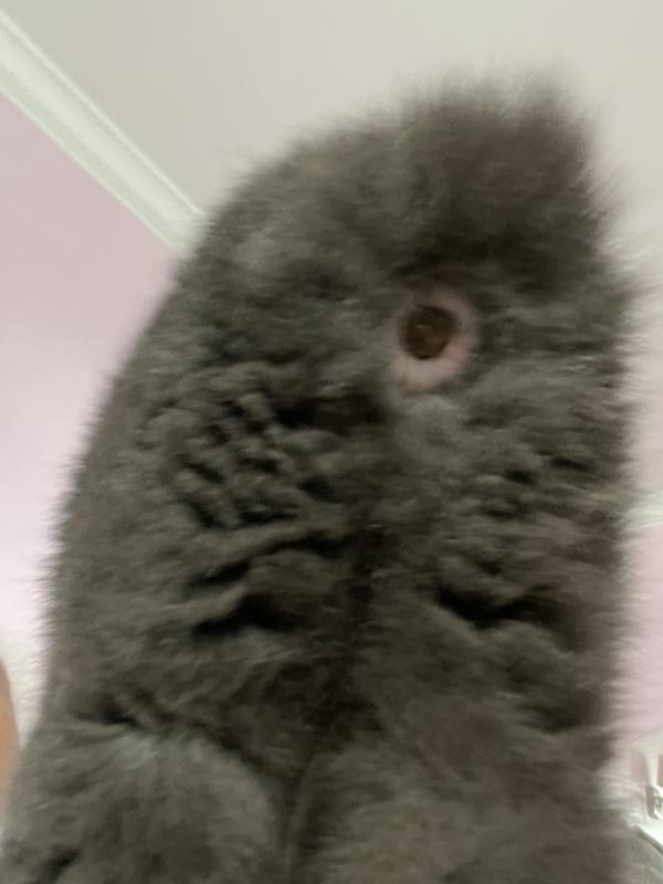 Stuck poop that would not move.