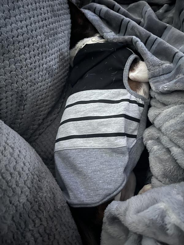 Frisco Gray Striped Dog & Cat Hoodie