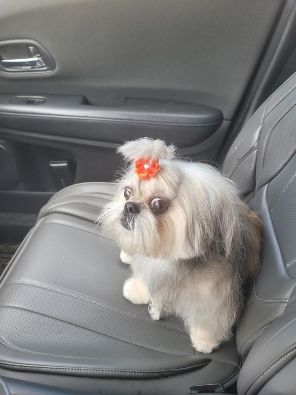 Her hair is fully soft and fluffy and smells so good