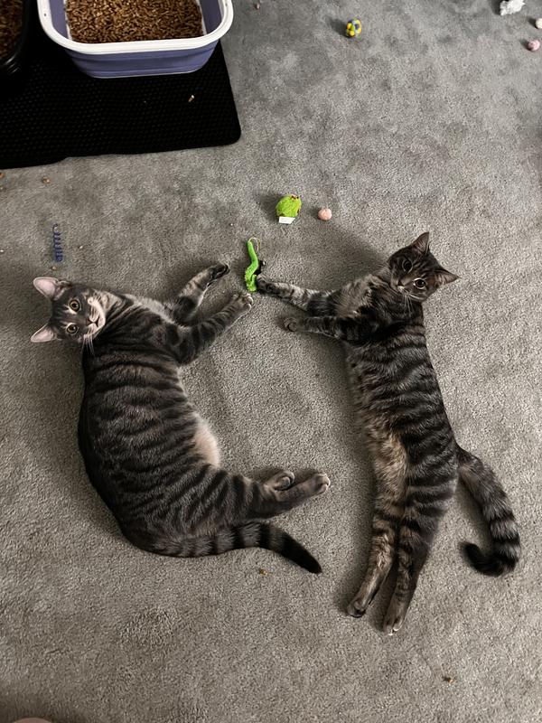 Tater & Tot