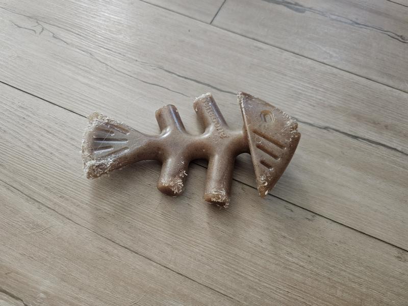 Sharp edges on toy after several months of chewing.