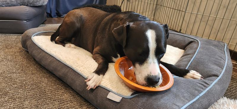 Post surgical eating position.😆