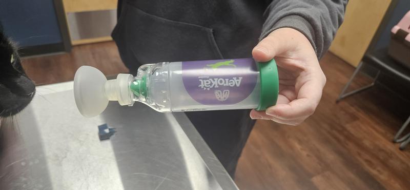 Just like the one my veterinarian uses.