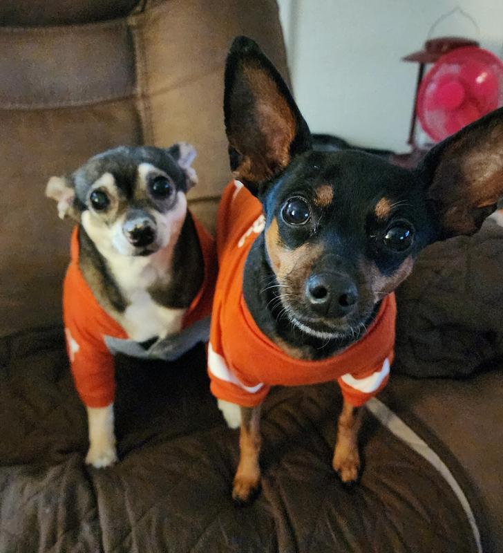 GO LONGHORNS!