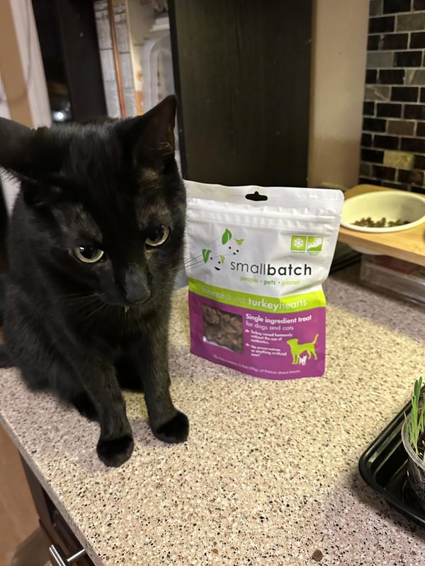 She loved the treats but hates stages photos!