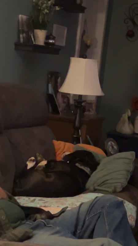 Full belly now sleepy time