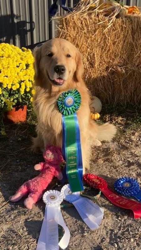 Boomer and Pig at a dog show!!!