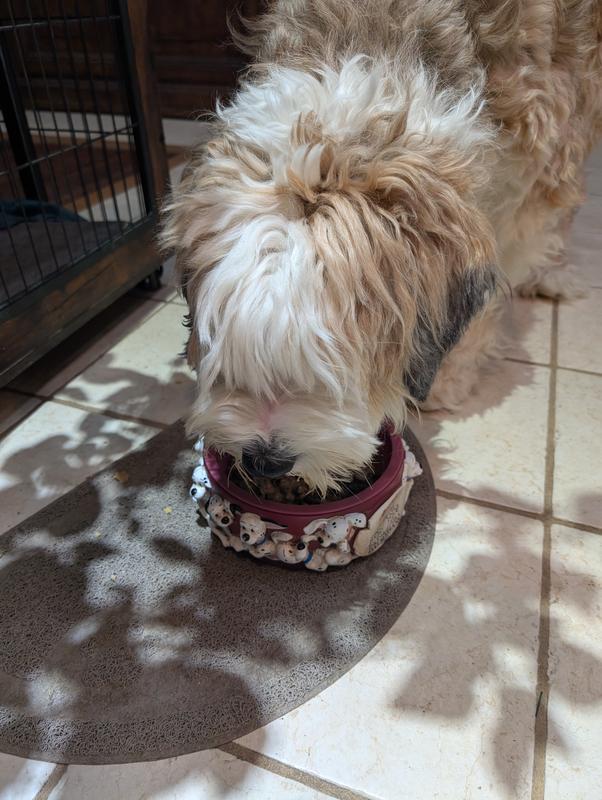 My dog loves this food!