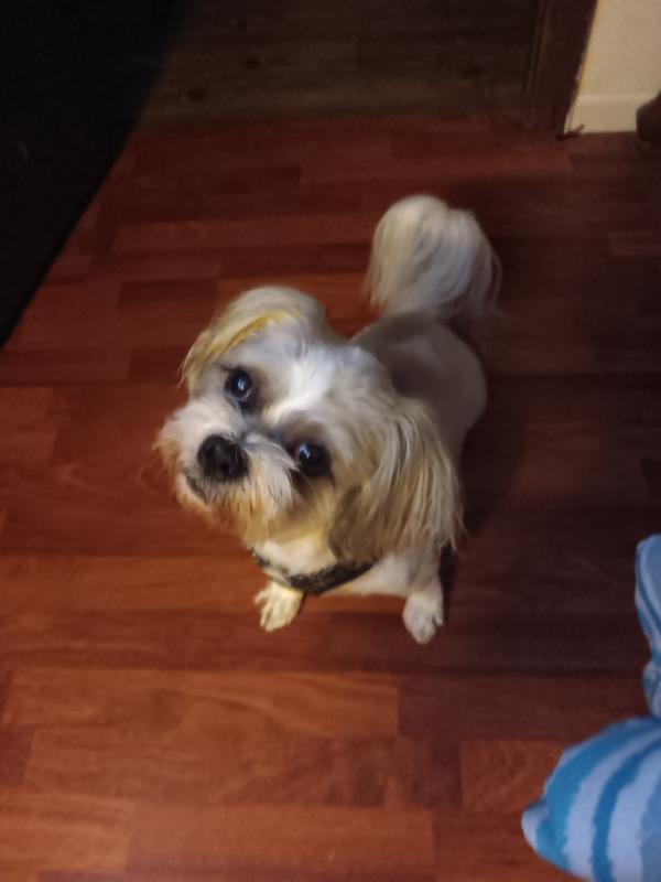 My Baby is very happy