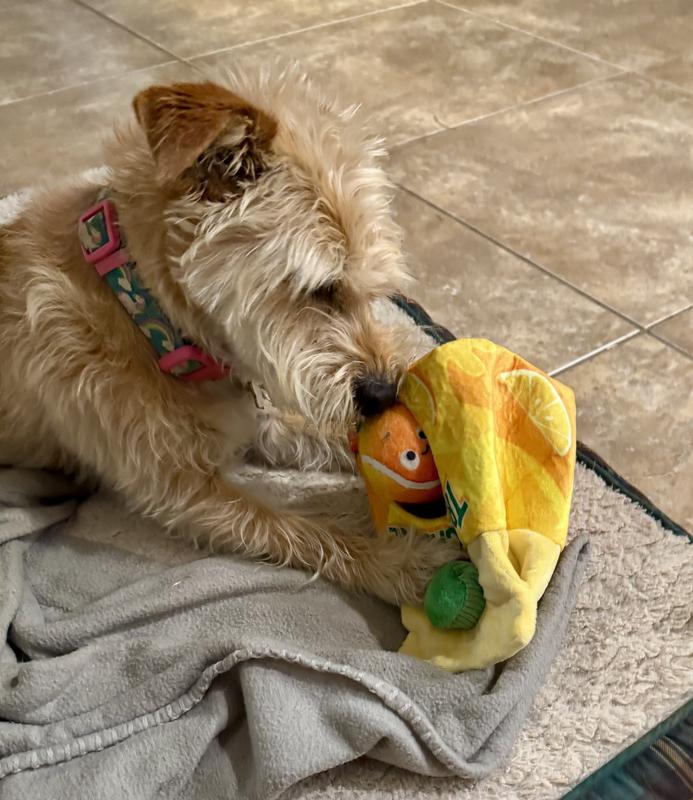 Grabbing hold of the stem