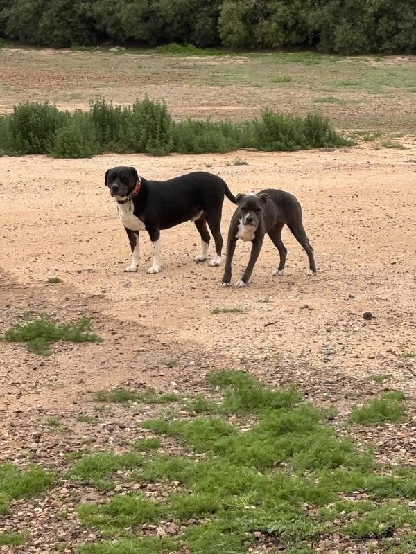 Skinny, starving Patricia.