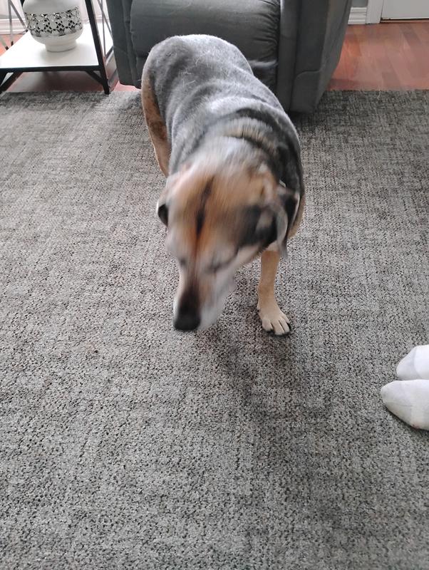 Camera shy