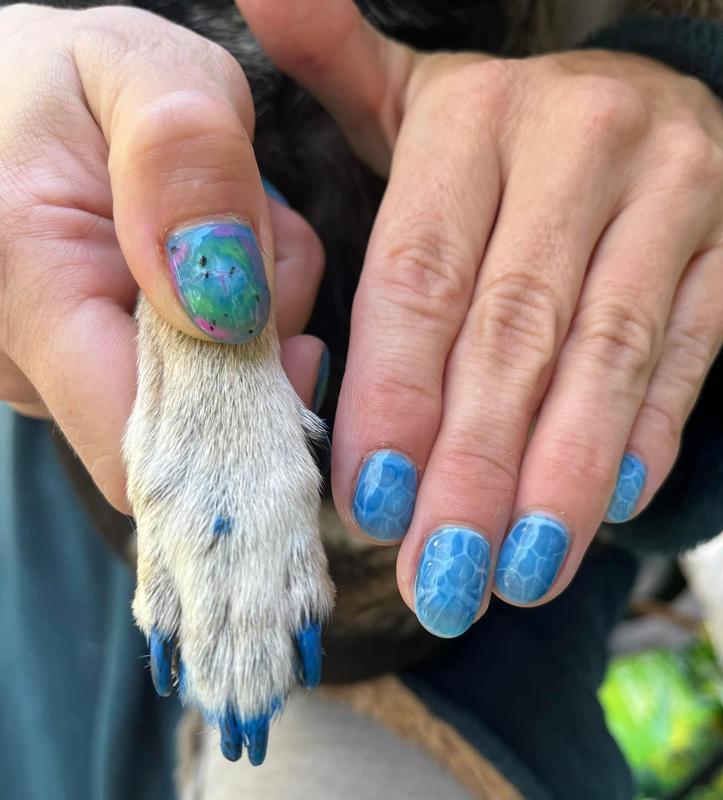 Dog nail outlet polish