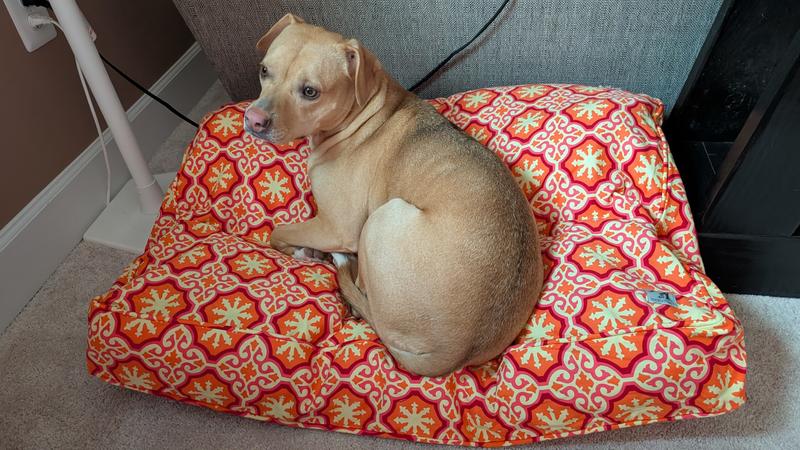 First time of the bed.