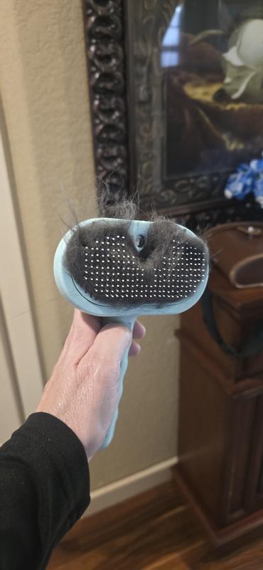 I got so much hair off my cat!