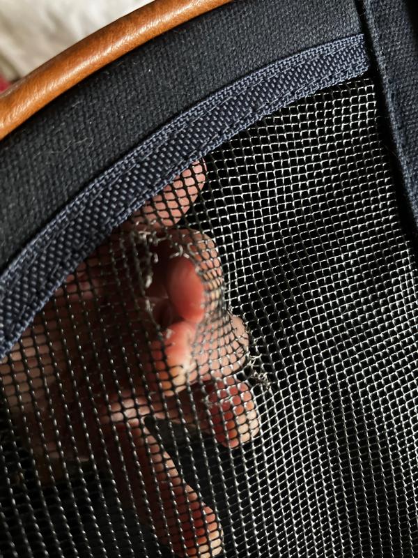 Our cat Acorn tore this hole in the mesh after only about 5 minutes.