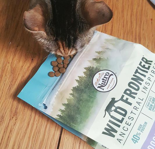 Nutro wild frontier outlet cat food review