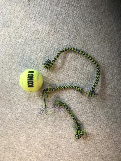 Kong Airdog Squeakair Ball With Rope