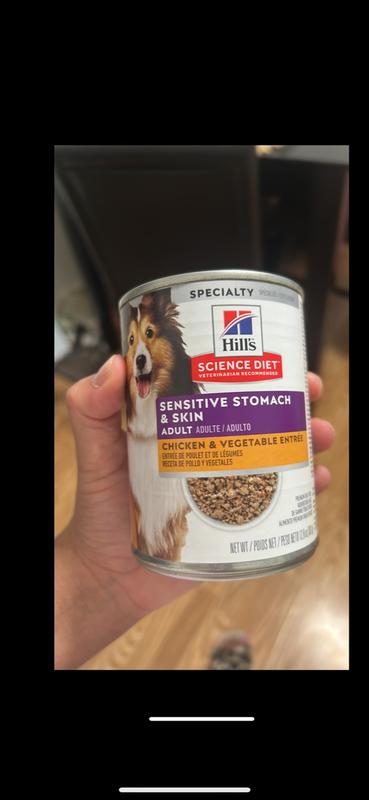 Hill's science diet sensitive stomach wet dog on sale food