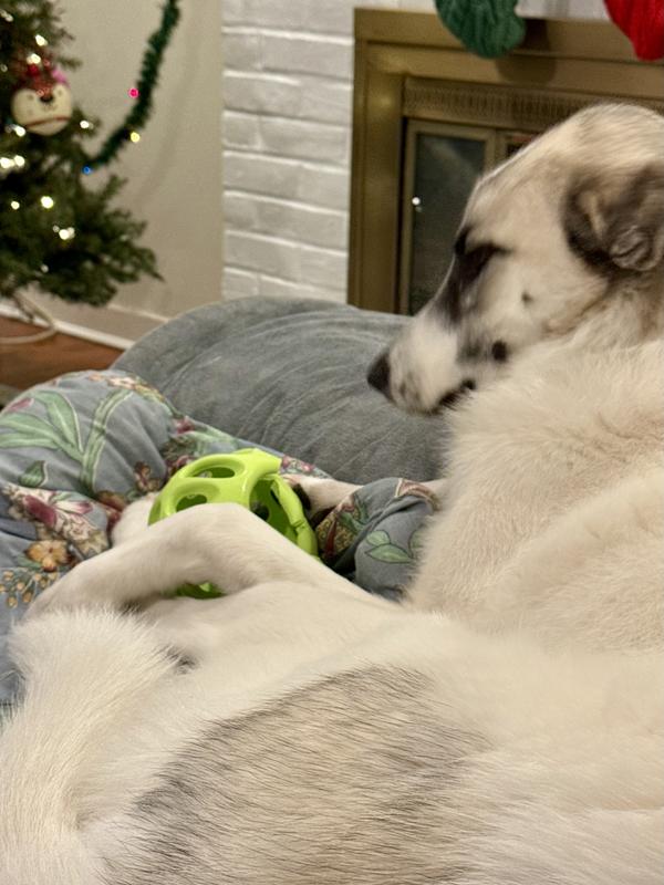 Chewing away at rubber