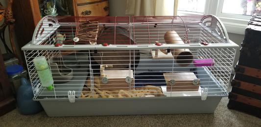 Living world xl rabbit cage best sale