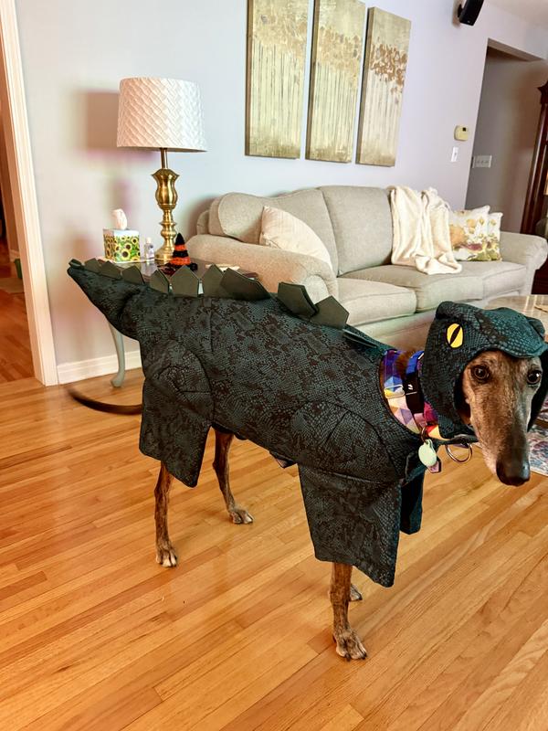 Rocking the Galga-saurus costume on Halloween