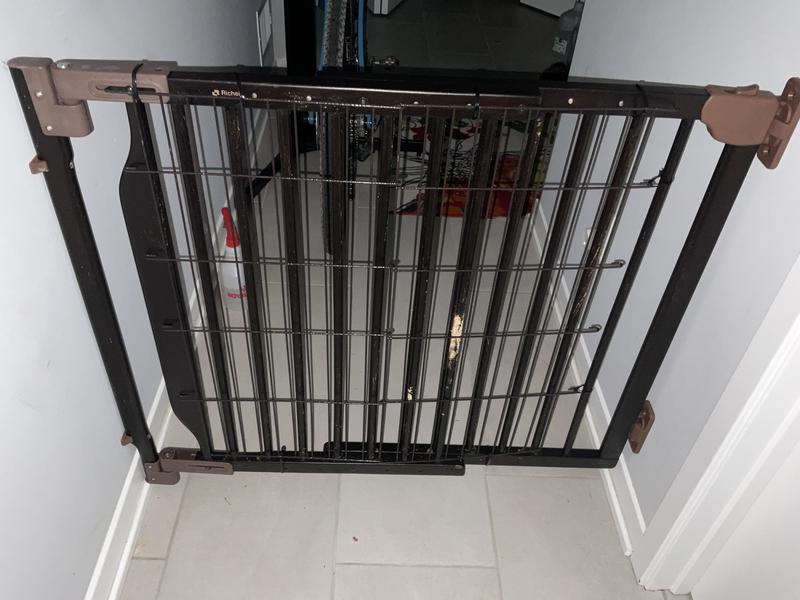 Full view of the gate and chewing surgery