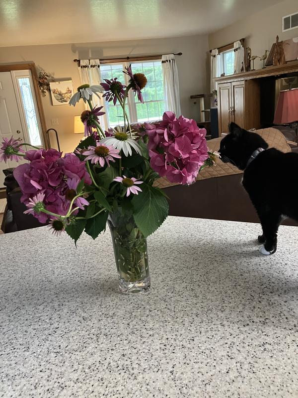 Hmmmm....smells good...can't notice any other smells since mom started using the Glad bags for my litter!