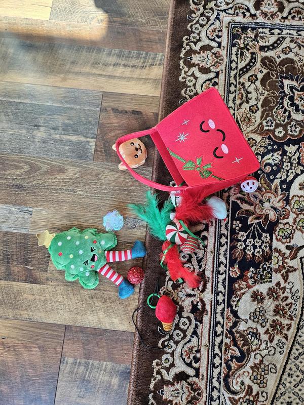 The toy bag sitting in the same place for days.