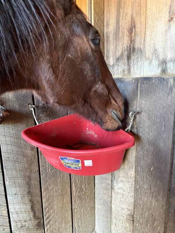 He hesitates after giving it a sniff.