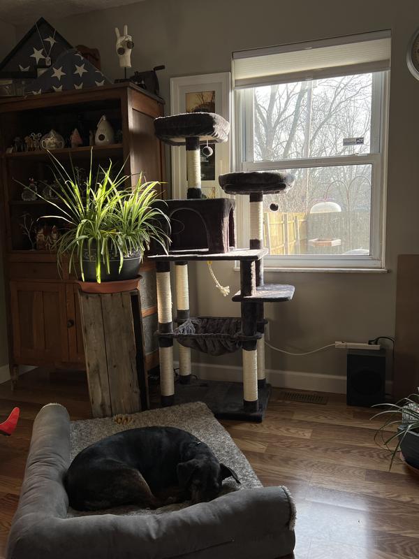 FRISCO 64in Cat Tree with Hammock, Condo, 2 Top Perches with Bed, Gray