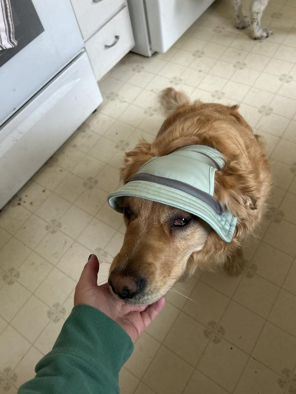 Trying to keep her from pawing it off.