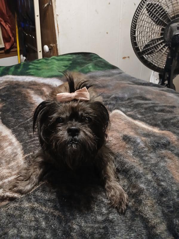 My extremely important Baby girl!!! Dollie Sue