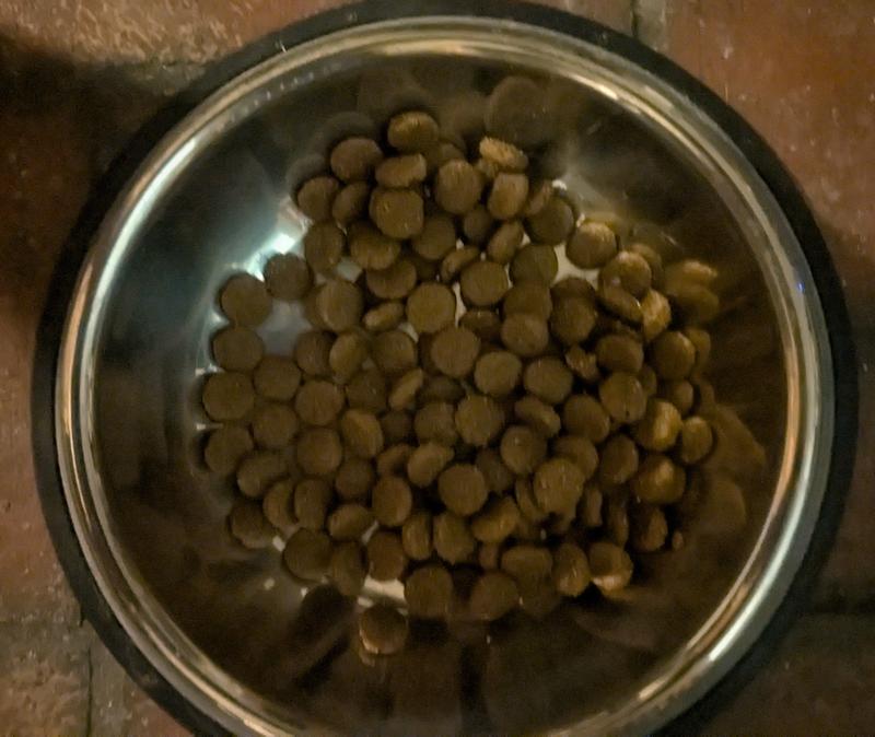 Babe's breakfast still uneaten at dinner time.