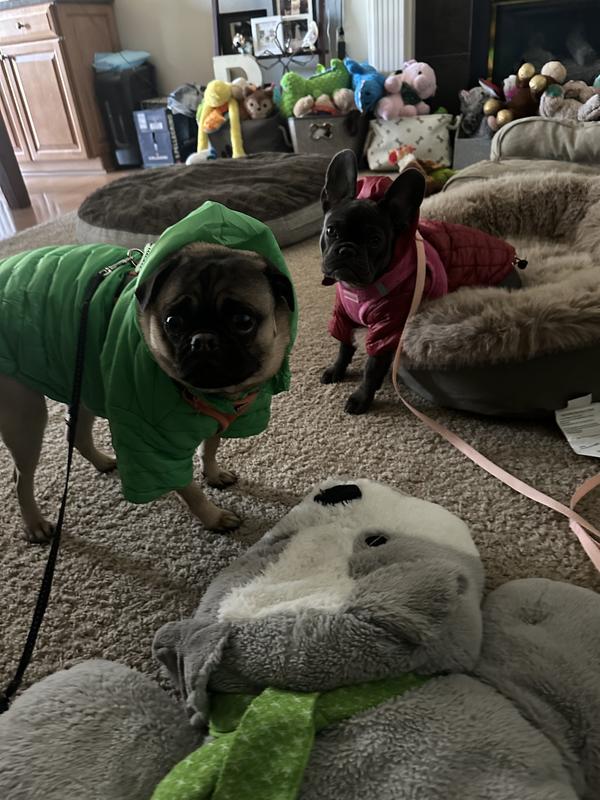 Very warm and fashionable