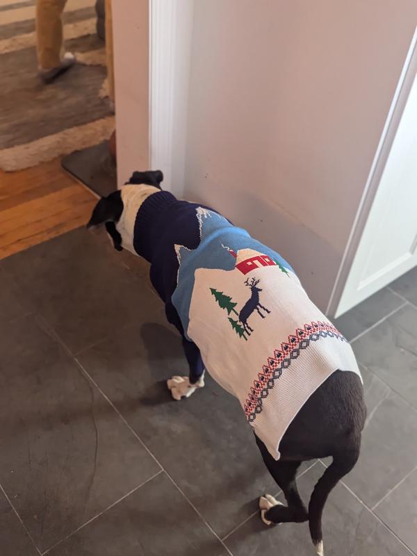 Frisco Mountain Cabin Dog & Cat Sweater