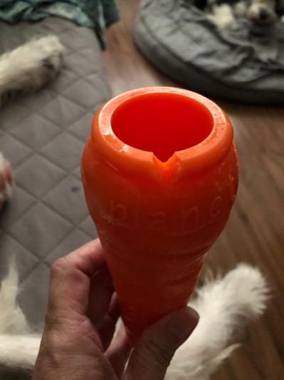 Planet Dog Orbee-Tuff Foodies Carrot Treat Dispensing Dog Toy - Northwest  Pets