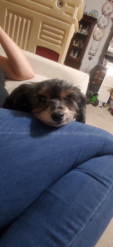 My test subject, Princess